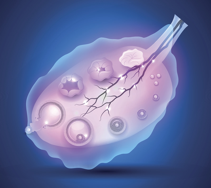 〖好孕!嘉兴助孕生子的私人医院哪家比较好？成功率怎么样？〗